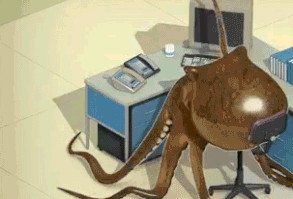 Bad at his job octopus: | 50 GIFs Everyone Should Save