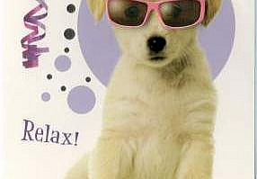 Be Cool!! Relax ! Happy birthday! #grappige verjaardagskaart #verjaardagskaart met honden #verjaardagskaartje dieren