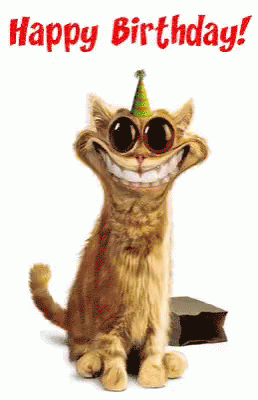 Happy Birthday Gif Download