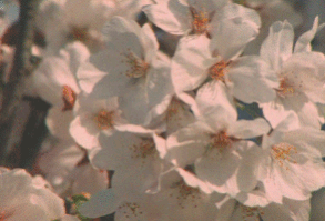 ❝-Entonces... ¿Tecnicamente eres como un zombie?❞    Mientras que muc… #fanfic # Fanfic # amreading # books # wattpad