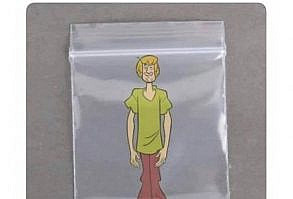 SHAGGY IN A BAGGY😭😭😭