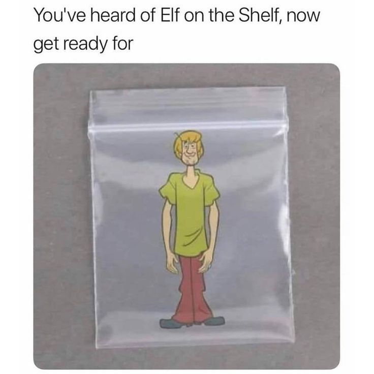 SHAGGY IN A BAGGY😭😭😭