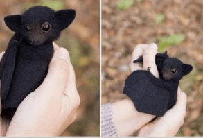 We think these adorable gifs of baby bats will do the work.#cutebats #bats #babybats #batday #batgifs #animalgifs