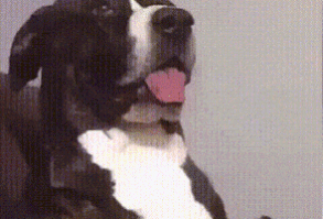 Check this out: 21 Best GIFs Of All Time Of The Week #176 Optional(