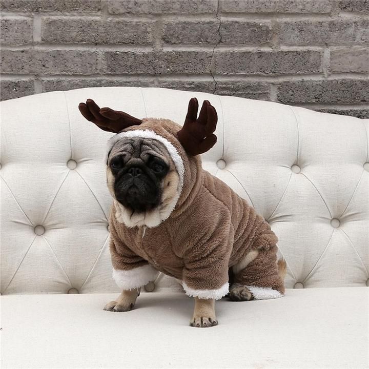 Christmas Dog Costume – Frenchie World Shop