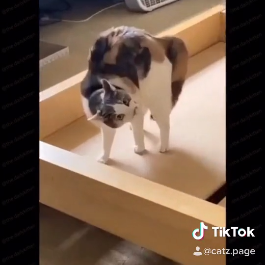 What exactly is this maneuver?