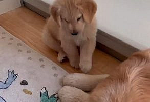 Cute Loves Big Dad So Much