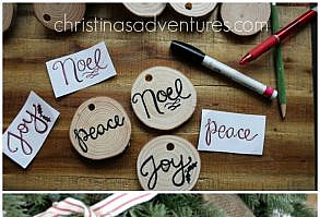 Use this video tutorial to learn how to make your own handwritten DIY wood slice ornaments - no nice handwriting required! Great for farmhouse home decor.