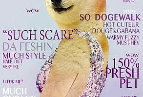 DOGEEEEEE