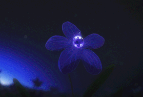 ❝ Omega Jimin, mavi çiçeklerinin bu kadar çabuk açmasını beklemiyordu… #hayrankurgu # Hayran Kurgu # amreading # books # wattpad