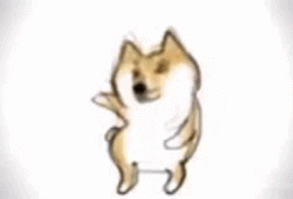 Dog Dog Dance GIF - Dog Dog Dance Doggo - Discover & Share GIFs