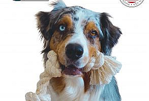 Looking for 100% natural and non-toxic dog toys made in the USA? The Bio-Rope® 3-knotter dog rope toy by EarthCare® is the only 100% USDA Biobased certified dog rope toy. The 3-knotter is an excellent toy choice for medium-sized dogs between 45 to 70 pounds.