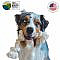 Looking for 100% natural and non-toxic dog toys made in the USA? The Bio-Rope® 3-knotter dog rope toy by EarthCare® is the only 100% USDA Biobased certified dog rope toy. The 3-knotter is an excellent toy choice for medium-sized dogs between 45 to 70 pounds.