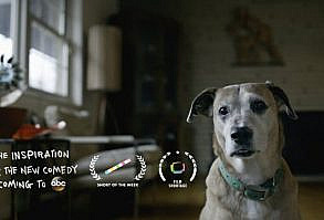 “Downward Dog” the original web series created by Michael Killen and Samm Hodges, and produced by the team at Animal.