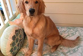 Enjoyed the one day of spring we had