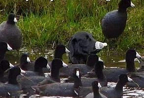 Extra Large Batch of Memes To Keep You Laughing - Funny Gallery