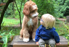 Family Is Nervous Foster Child Won’t Adjust, But Then He Meets Their Dog #Dogs