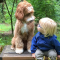 Family Is Nervous Foster Child Won’t Adjust, But Then He Meets Their Dog #Dogs