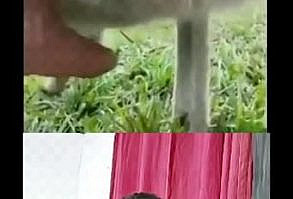 #memes siga FPZIMTV NO YOUTUBE LINK NO PIN