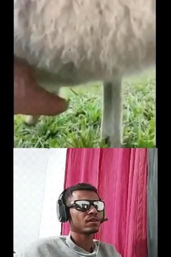 #memes siga FPZIMTV NO YOUTUBE LINK NO PIN