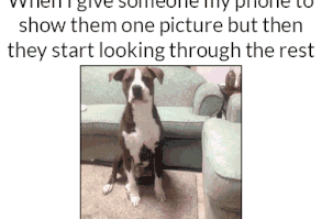 Funny and Relatable!