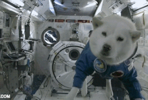 NWO / UFO / NEPHILIM / REPTILIAN / BIBLIA / NASIENIE WĘŻA / PROROCTWA / 12 PLEMION / PŁASKA ZIEMIA: ...::: Gdzie my w końcu żyjemy cz.6 :::...