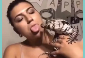 Tongue kiss a lizard - natural Source #LaughingQuotesLaughter, #LaughFunny, #LaughsFunny, #TryNotToLaugh... -