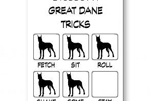 Wonderful large 3 1/2 x 2 1/2 inch (9cms x 6.5 cms) rectangular fridge magnet featuring this adorable breed. The magnet is printed to a very high quality gloss finish on a sturdy metal casing. The back of the item features a very strong full size magnet. Manufactured in the USA.