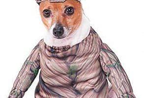Groot Halloween Dog Costume Adorable Walking Groot Pet Costume for your furry friend. License: Marvel Classic Contains: Step In Shirt with Attached Arms, Headpiece
