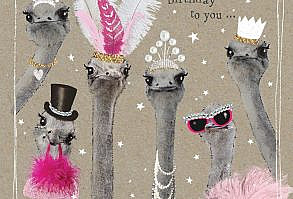 A lovely birthday card from our Fancy Pants animal range, featuring some very glamourous ostriches. With caption: