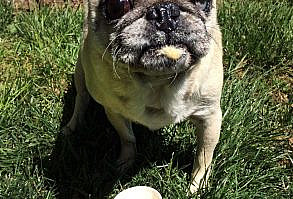 Do I have something on my chin??