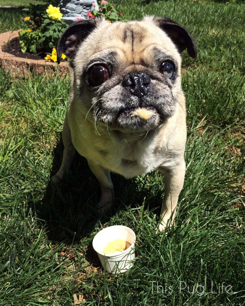 Do I have something on my chin??