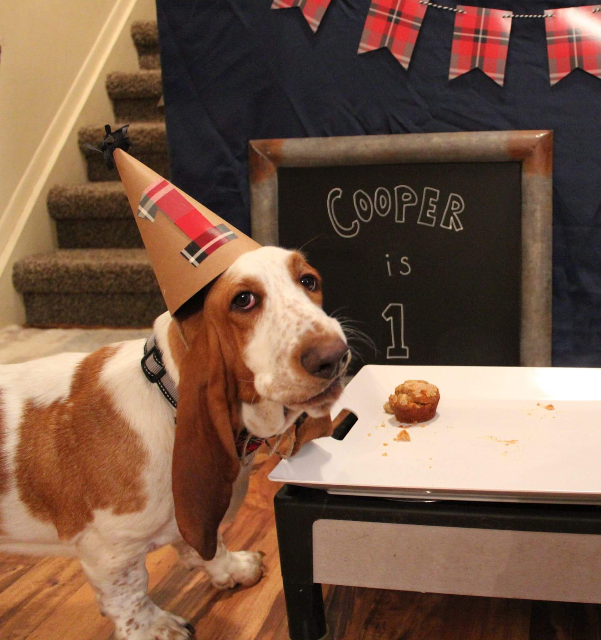 Happy birthday my bestie patrick ift.tt/2fn878P