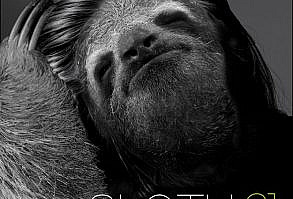 This hilarious mashup reiminages sloths on famous album covers