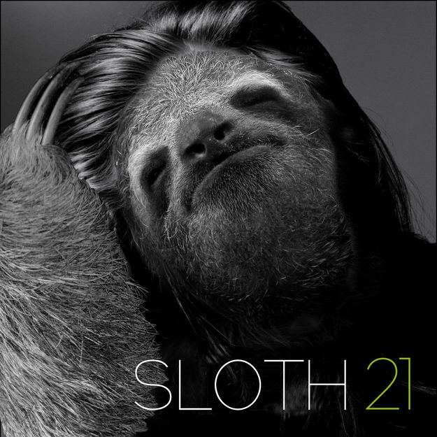 This hilarious mashup reiminages sloths on famous album covers