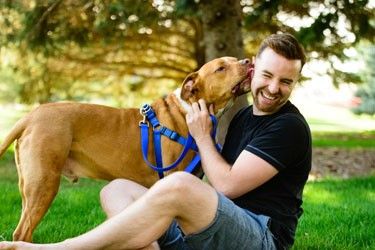 How Do Dogs Choose Their Favorite Person? | DogSpaceBlog