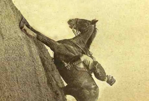 FRlwiCy.png (460×639)