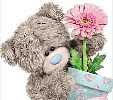 3D Holographic Flower Pot Me to You Bear Card