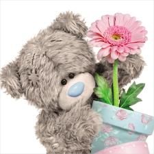 3D Holographic Flower Pot Me to You Bear Card