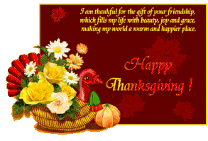 I am thanful  thankful thanksgiving happy thanksgiving thanksgiving quotes thanksgiving comments thanksgiving quote funny thanksgiving quotes thanksgiving poems