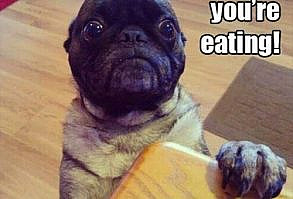 I'll Have What You're Having Then...you know you can't resist that face