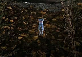 Jake Fellman on Twitter