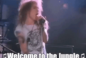 Jungle Welcome GIF - Jungle Welcome Vocalist - Discover & Share GIFs
