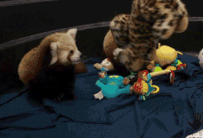 Cheezburger Image 9161762304