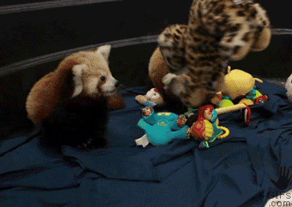 Cheezburger Image 9161762304