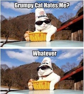KING Cat Is 2 Kool