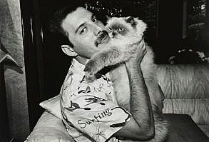 Las fotos de Freddy Mercury con sus amados gatos - Cultura Inquieta