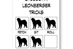 Wonderful large 3 1/2 x 2 1/2 inch (9cms x 6.5 cms) rectangular fridge magnet featuring this adorable breed. The magnet is printed to a very high quality gloss finish on a sturdy metal casing. The back of the item features a very strong full size magnet. Manufactured in the USA.