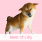 A board showcasing the best of Lilly the Shiba Inu whether it be her cute videos, unique designs or just general Shiba attitude.  #shibalilly #shibainu #shiba #shibe