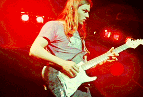 David Gilmour